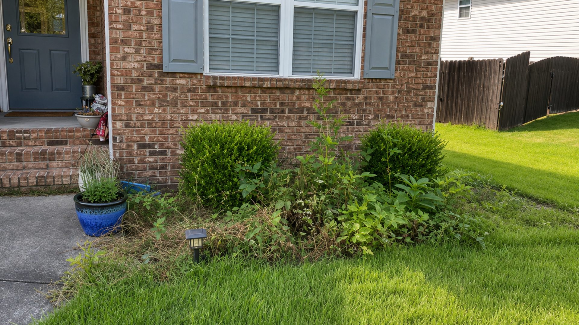 Side view of sculpted hedges and clean bed lines at a brick home in Chattanooga, TN by LNK Ventures
