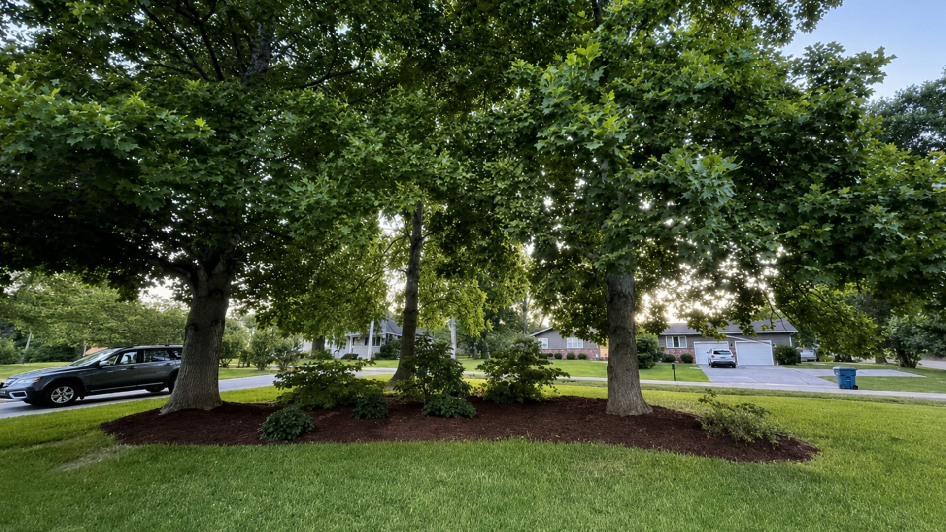 Freshly mulched tree ring with clean edging in the front lawn of a white ranch home in Chattanooga, TN by LNK Ventures