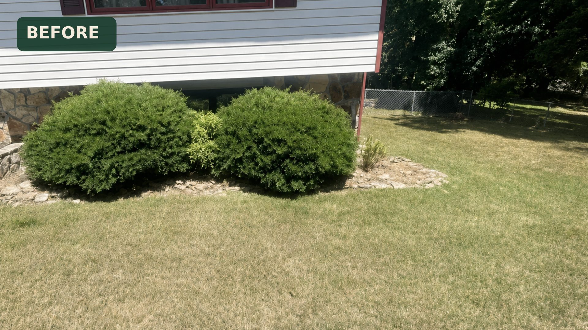 Overgrown shrubs and patchy mulch bed in front of a split-level home in Chattanooga, TN before LNK Ventures renovation