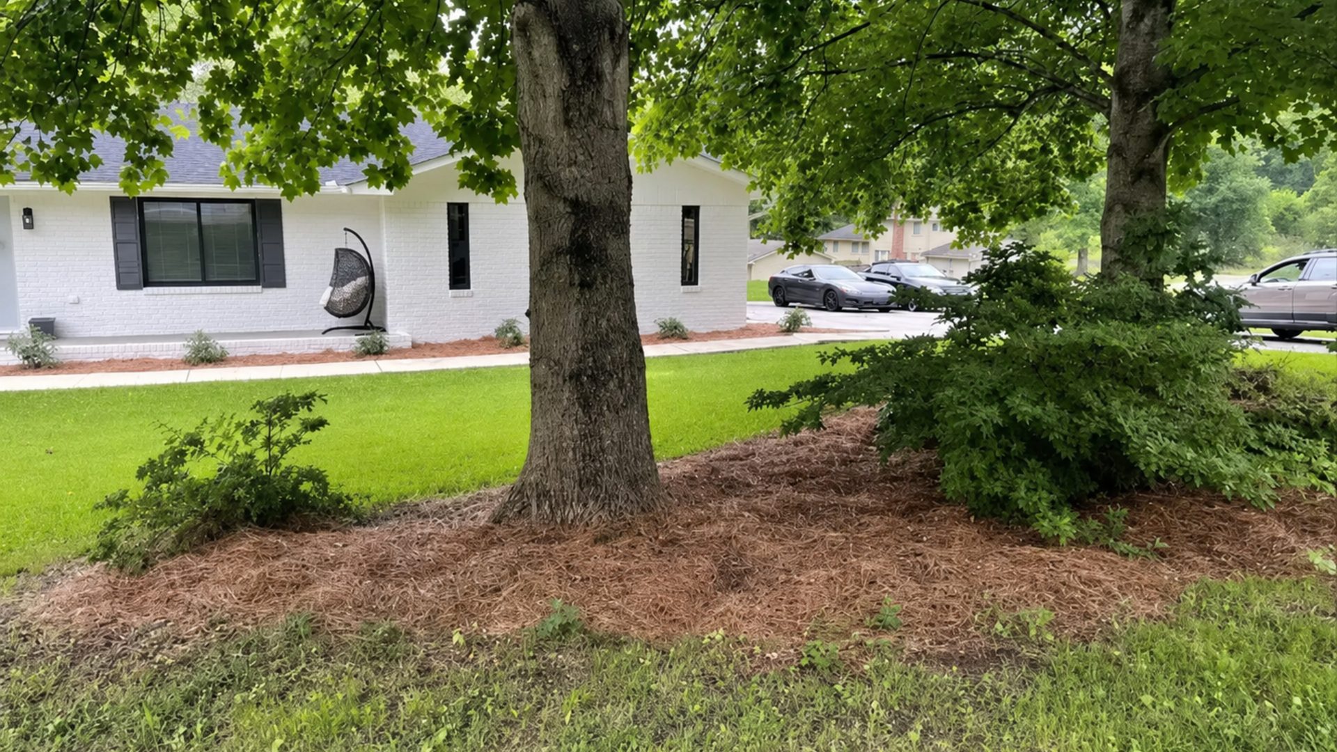 Tree ring in the front lawn of a white ranch home in Chattanooga, TN by LNK Ventures