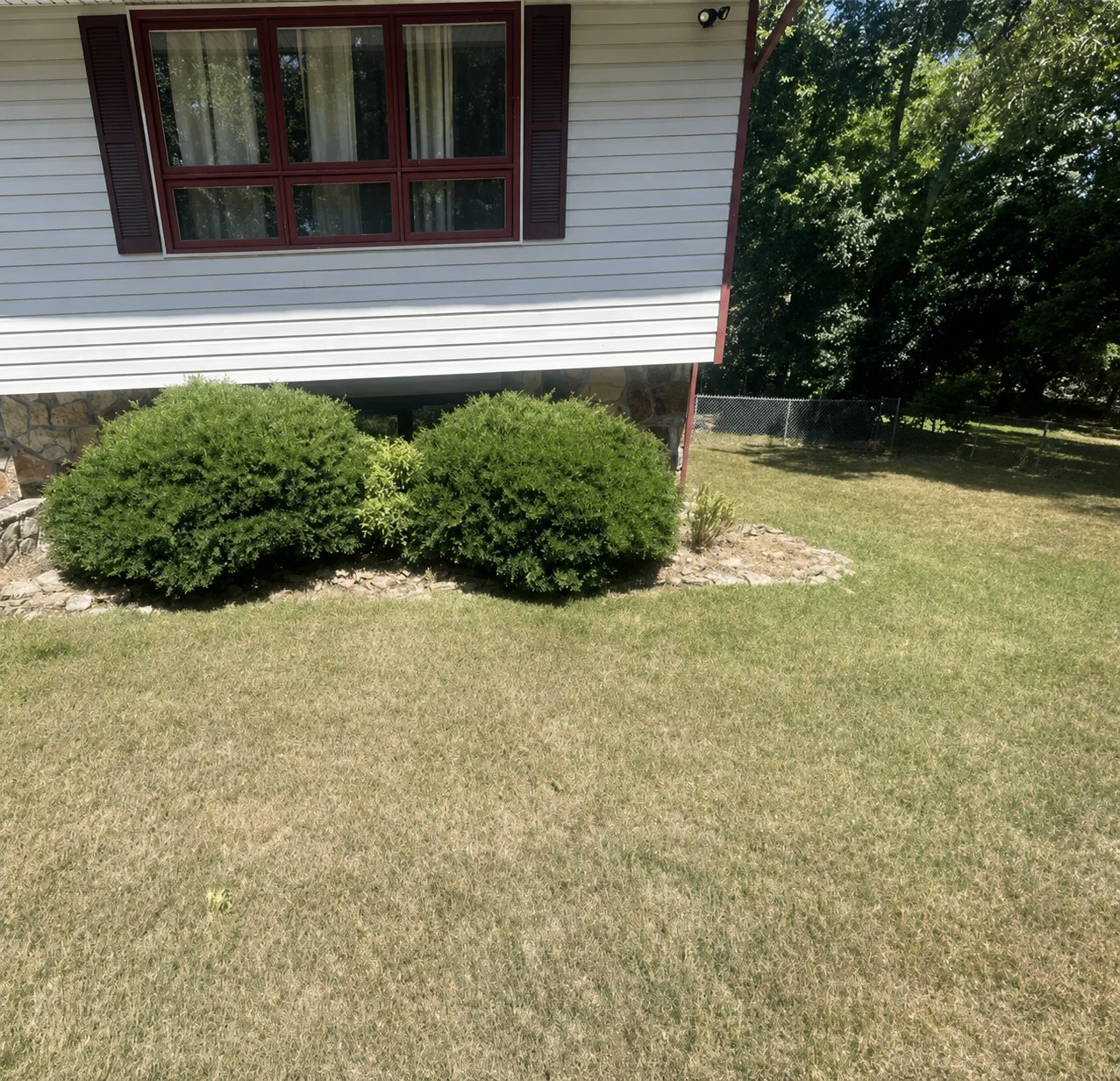 Freshly rounded hedges over a stone-bordered bed and mowed lawn beside a white-sided home in Chattanooga, TN by LNK Ventures